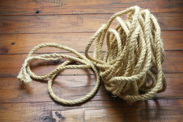 Prix crémation chat : tout ce qu'il faut savoir pour bien choisir