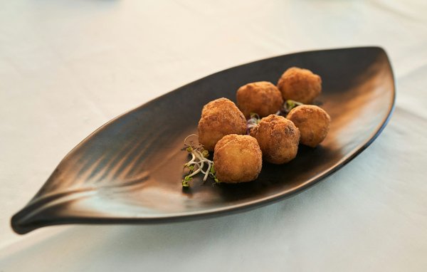 Croquettes hd optimum : la recette savoureuse pour votre chien
